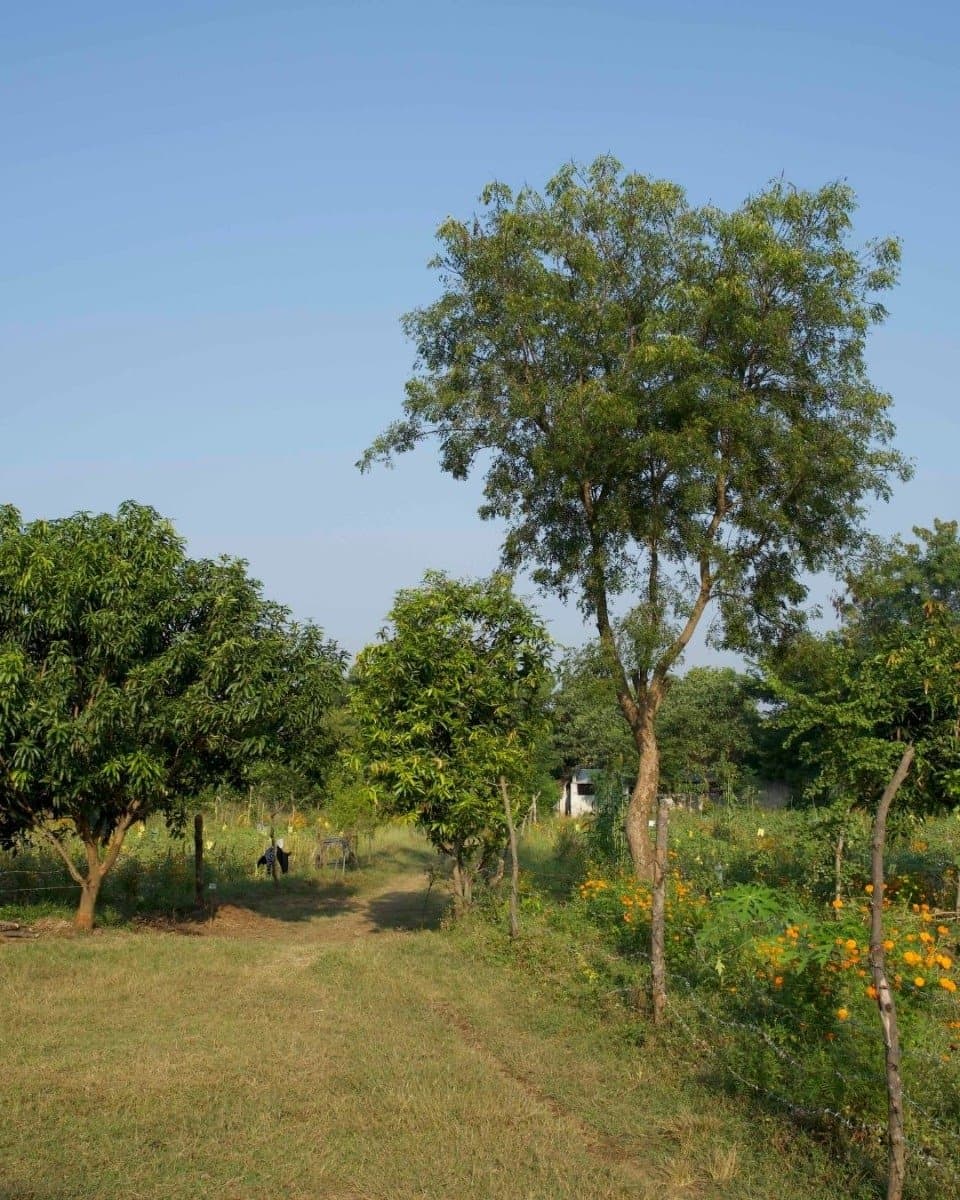 Clean & Green Villages: een revolutie in de katoenketen