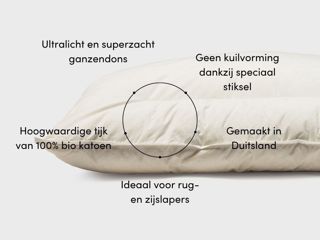 Kussen ganzendons 60x70 stevig