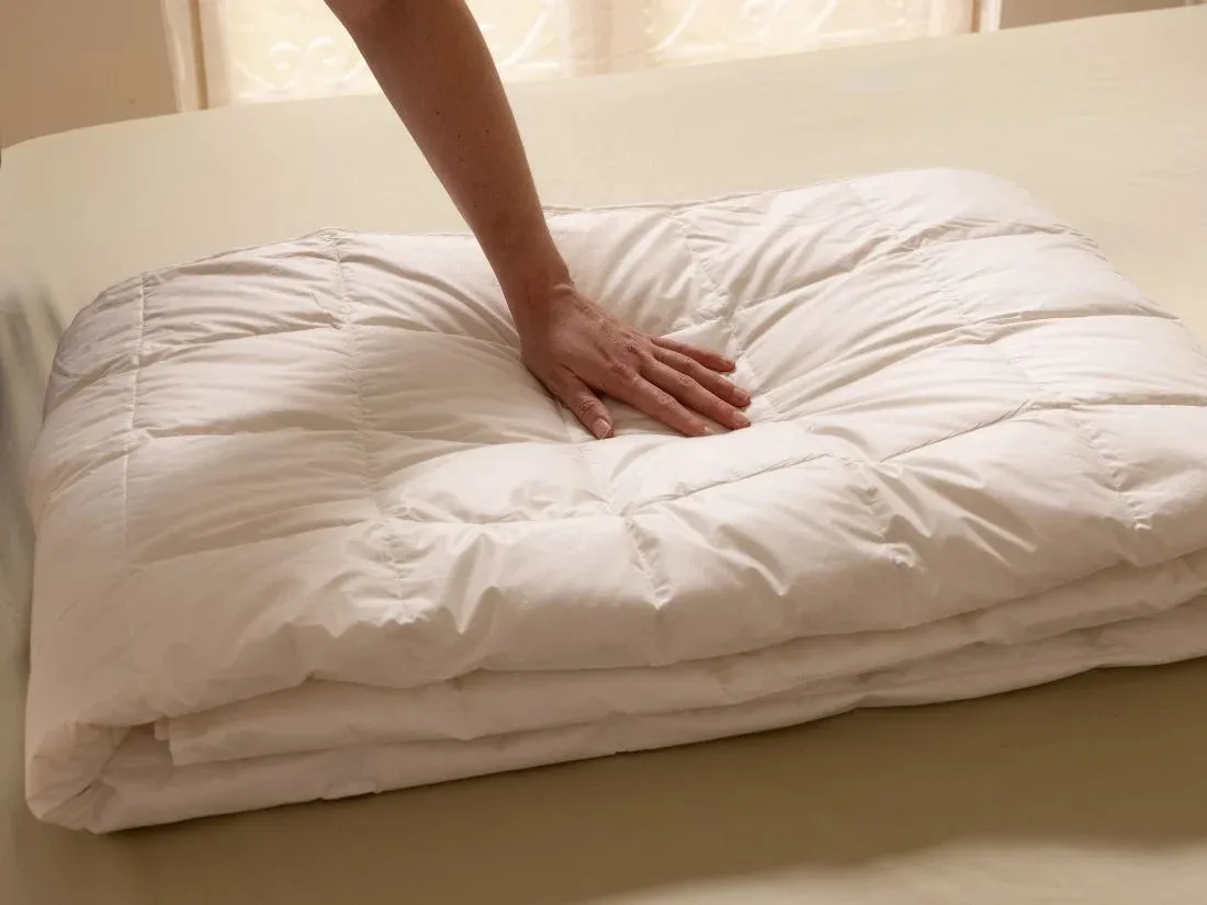 Dekbed ganzendons zomer 200x220