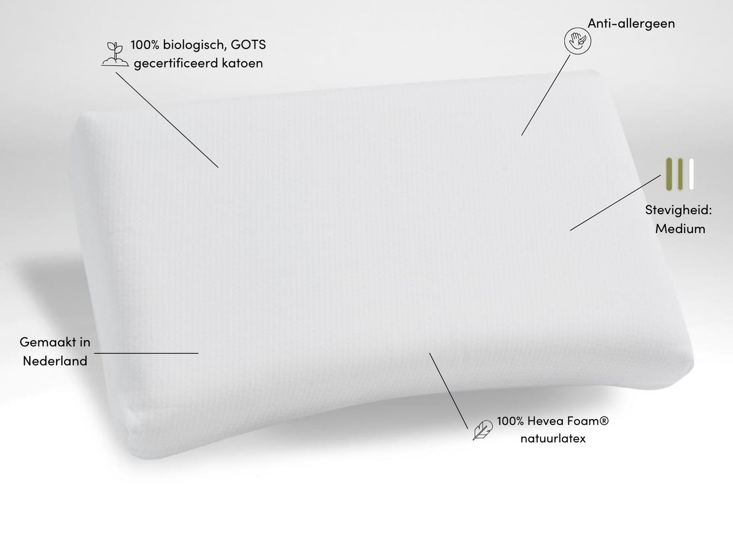 Kussen natuurlatex curve 35x58x12 medium