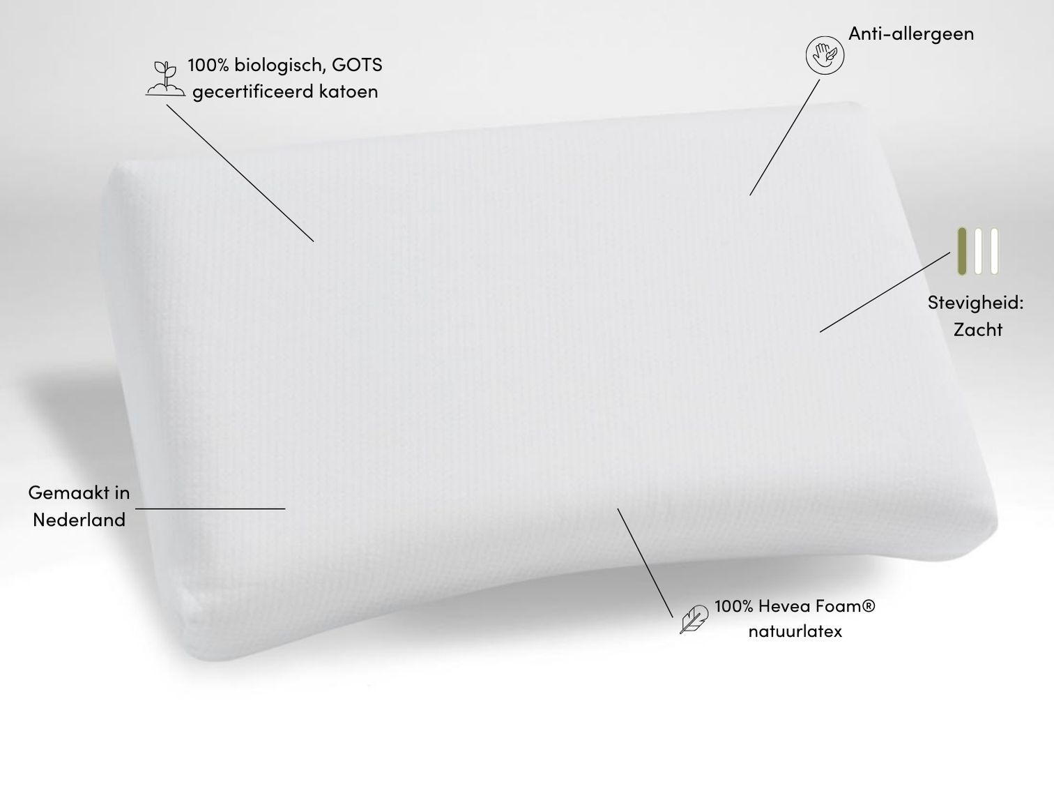 Kussen natuurlatex curve 35x58x12 zacht