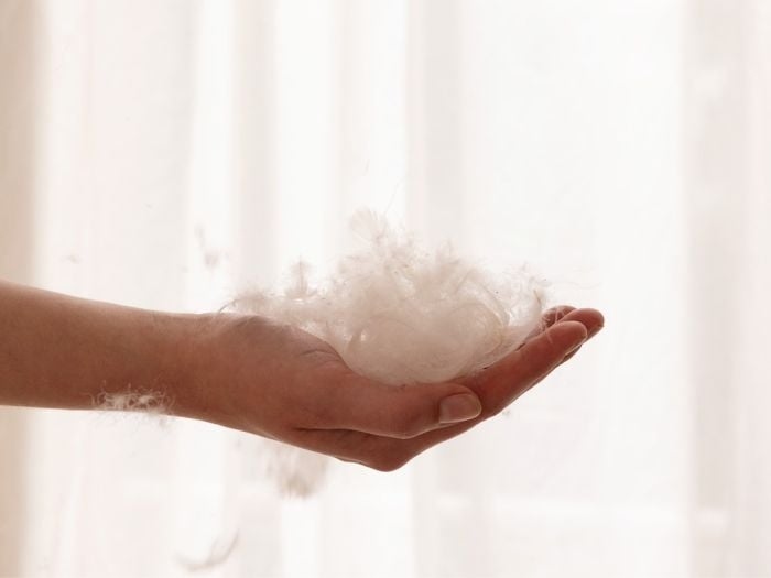 Dekbed gerecycled dons premium lente/herfst 140x220