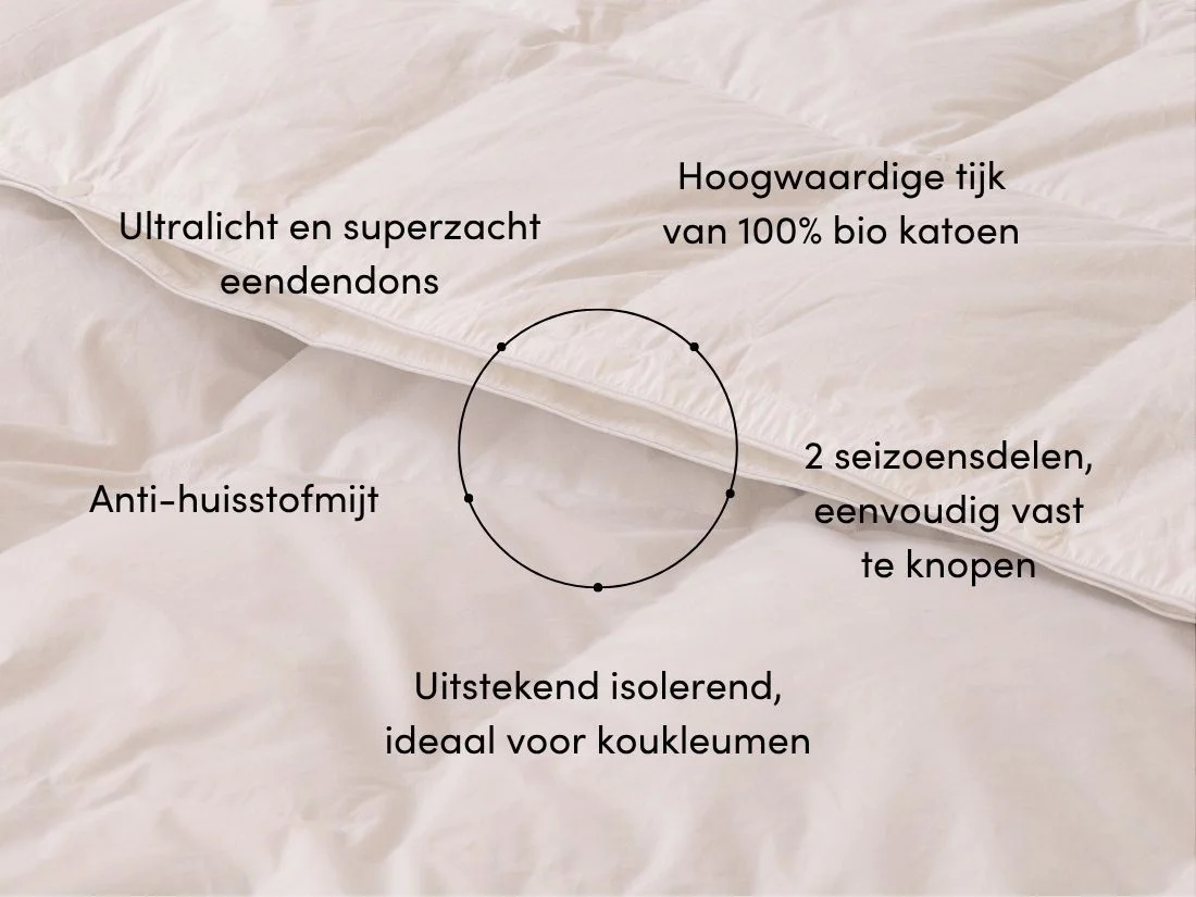 Dekbed dons all seasons 260x220