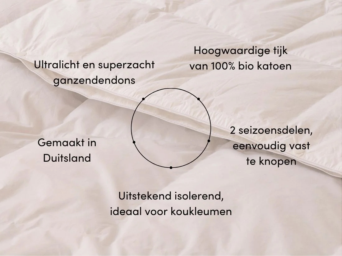 Dekbed ganzendons all seasons 240x220