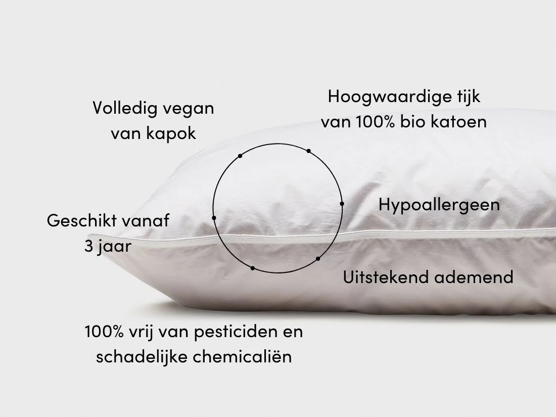 Kinderkussen kapok 50x60 zacht