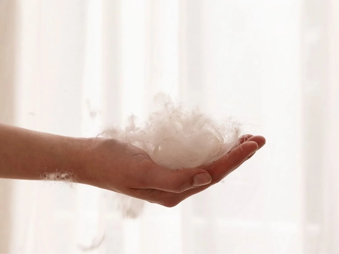 Dekbed gerecycled dons premium lente/herfst 200x220