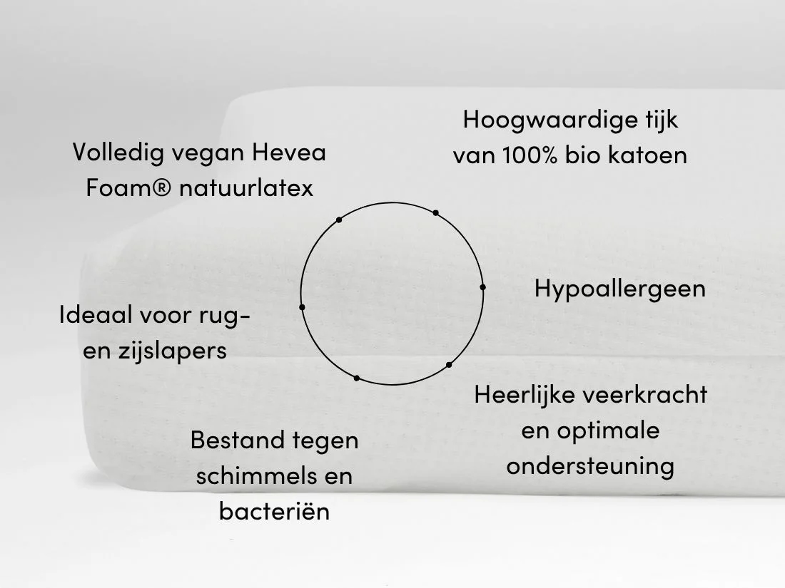 Kussen natuurlatex curve 35x58x12 medium