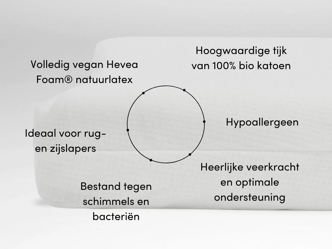 Kussen natuurlatex curve 35x58x12 zacht