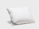 Kussen kapok 60x70 medium